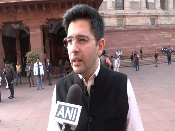 AAP MP Raghav Chadha (Image/ANI)