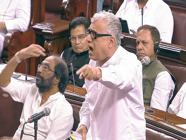 TMC MP Derek O Brien in Rajya Sabha (File Photo)