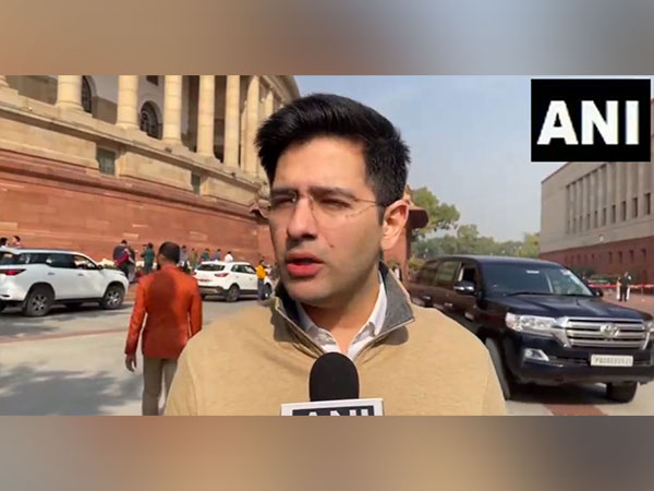 AAP MP Raghav Chadha (Photo/ANI)