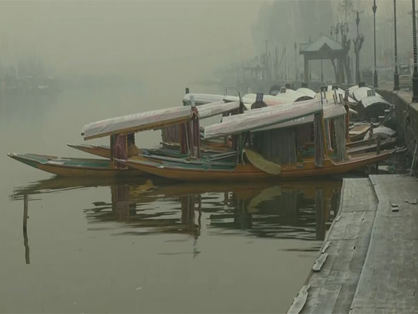 Fog in Srinagar as temperature dips to 3.5 degree. Morning visuals. (Photo/ANI)