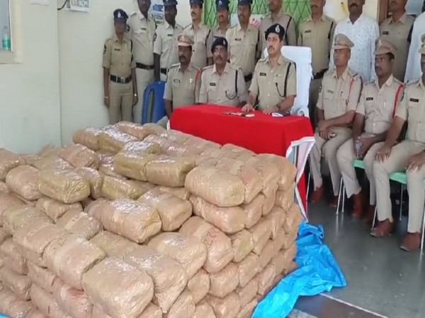 cannabis seized by police officials in Sri Satya Sai District (Photo/ANI) 