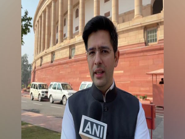 Aam Aadmi Party MP Raghav Chadha (Photo/ANI)