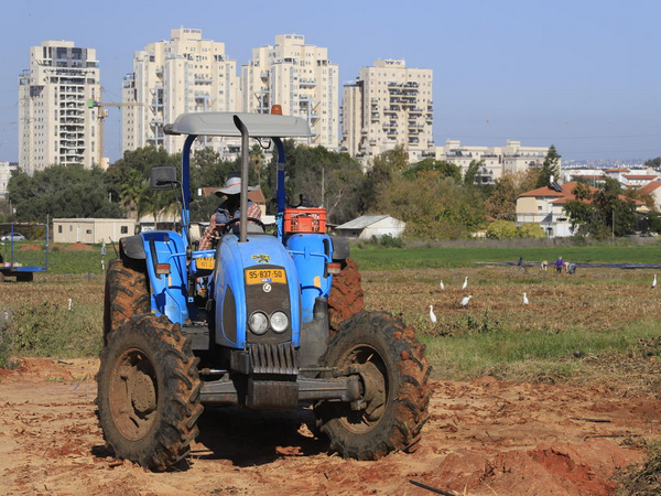 Farmers working in the fields of Moshav Nehalim in central Israel (Photo/TPS)