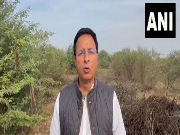 Congress leader Randeep Surjewala (Photo/ANI)