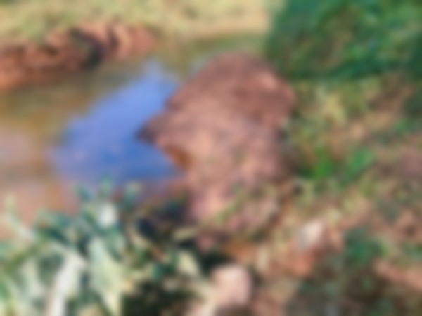 Visuals from the spot (Photo/ANI)