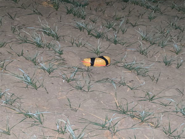 BSF troops recover contraband from farming field in Fazilka. (Photo/ANI)