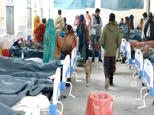 Dog roaming in hospital ward (Photo/ANI)