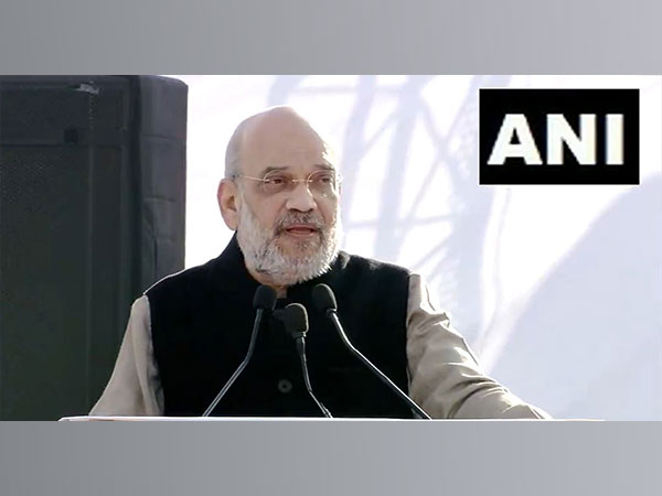 Union Home Minister Amit Shah (Photo/ANI)