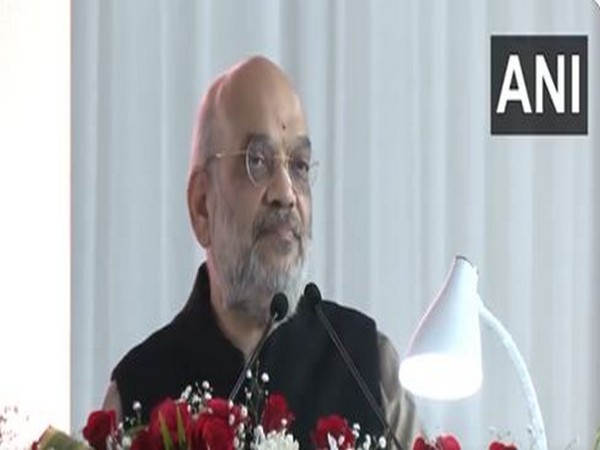 Union Home Minister Amit Shah (Photo/ANI)