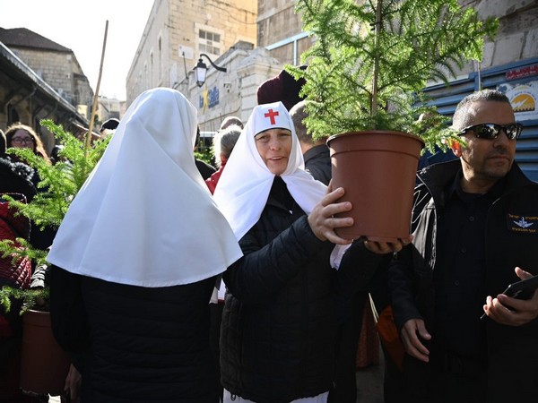 Jerusalem Christians receive complimentary Christmas trees at the Jerusalem muncipality’s annual tree distribution (Photo/TPS)