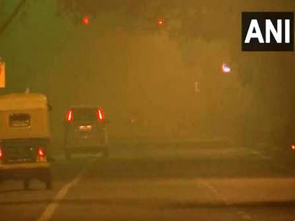 A foggy morning on Lodhi Road. (Photo/ANI)