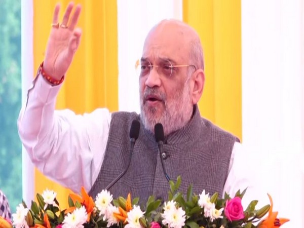 Union Home Minister Amit Shah (File photo/ANI)