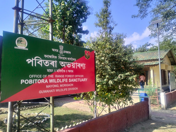 Assam's Pobitora Wildlife Sanctuary sees increased tourist footfall (Photo/ANI)