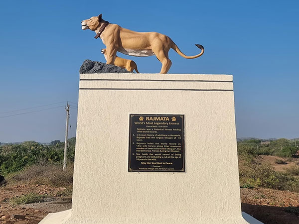 A befitting tribute for Collarwali in Amreli (Photo/ANI)
