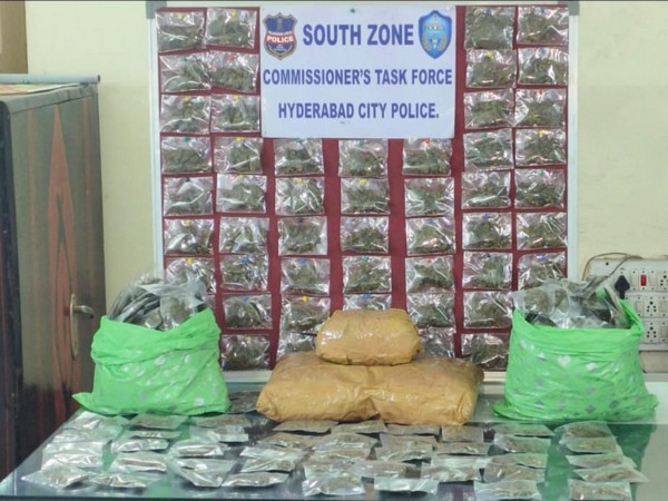 Hyderabad Police apprehend two people for selling ganja (Photo/ANI)
