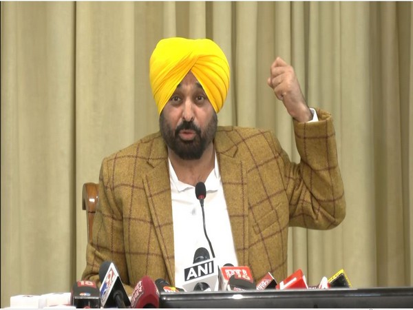 Punjab Chief Minister Bhagwant Mann (Photo/ANI)