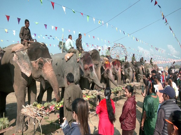 Elephants in Nepal go for picnic (Photo/ANI)