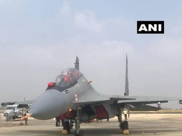 Su-30MKI fighter jet (Photo/ANI)