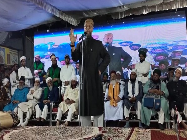 AIMIM president Asaduddin Owaisi (Photo/ANI)