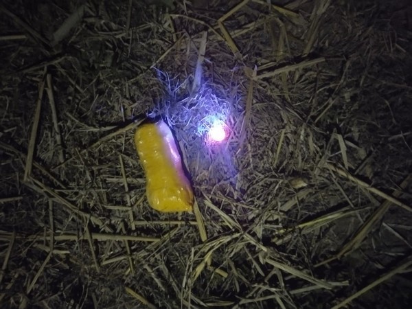 Suspected heroin packet (Photo/BSF)