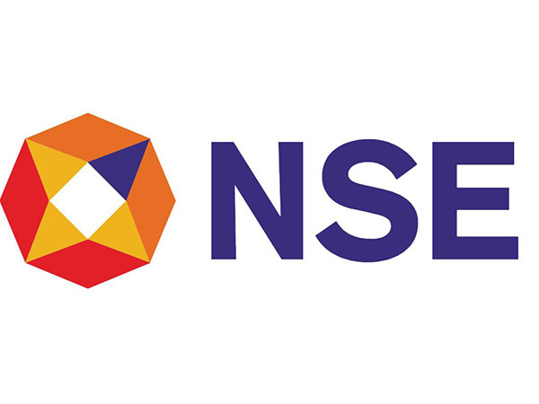 NSE logo