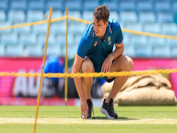 Pat Cummins inspecting pitch (Photo: cricket.com.au)