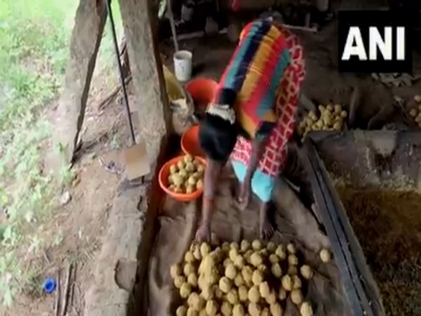 Jaggery production in Madurai. (Photo/ANI)