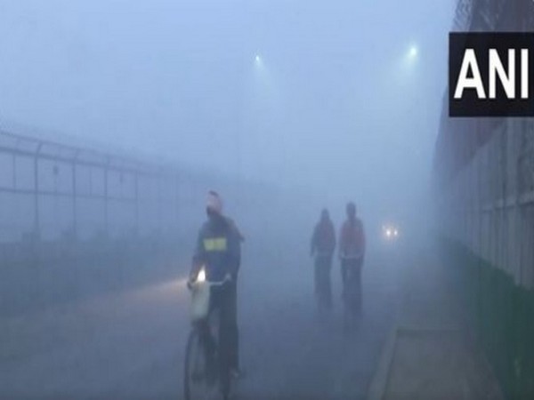 Dense and thick fog in Uttar Pradesh's Gorakhpur. (Photo/ANI)