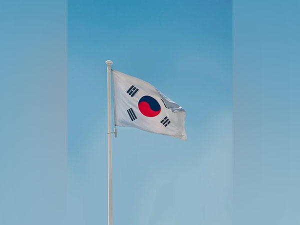 South Korea's flag