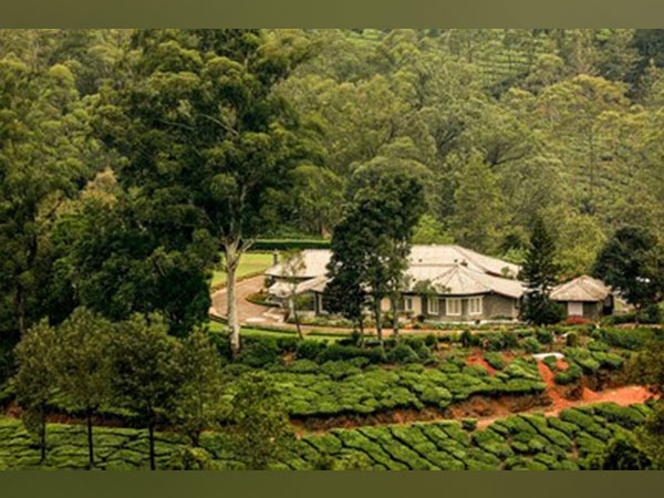 Munnar’s oldest plantation estate (Photo/ANI)