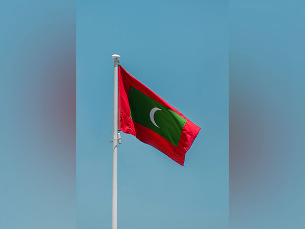 Flag of Maldives 