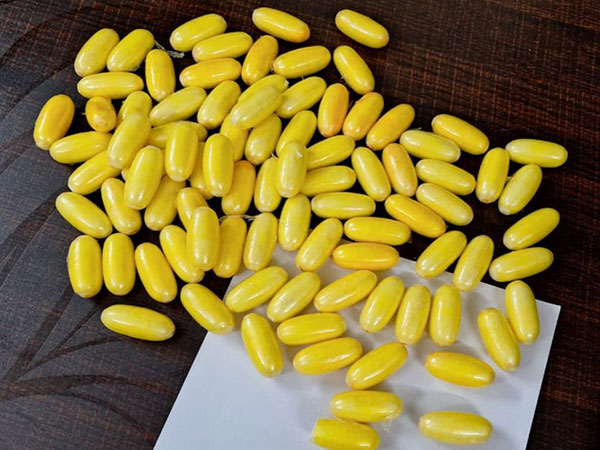 The capsules recovered by the Mumbai police.