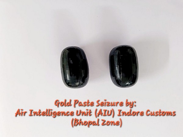 Confiscated Gold Paste (Photo / Indore Customs)