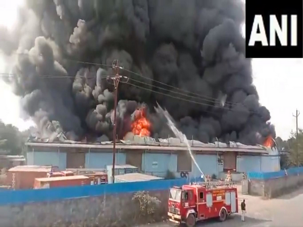 A visual from the site (Photo/ANI)