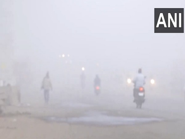 Dense fog in Bhopal (Photo/ANI)