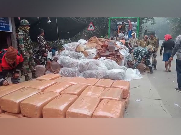 Tripura police seize 1630 kg of cannabis, one arrested. (Photo/ANI)