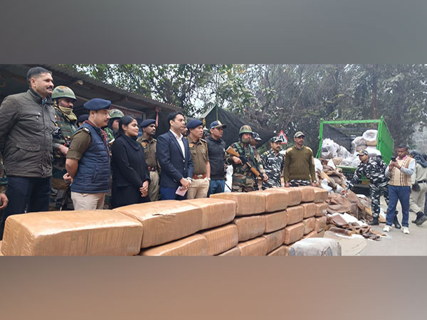 Tripura Police seize 410 kg of cannabis. (Photo/ANI)