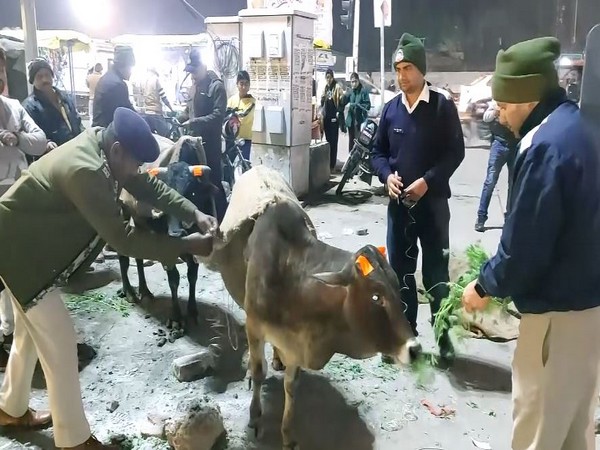 Traffic police in Chhatarpur district (PHOTO/ANI)