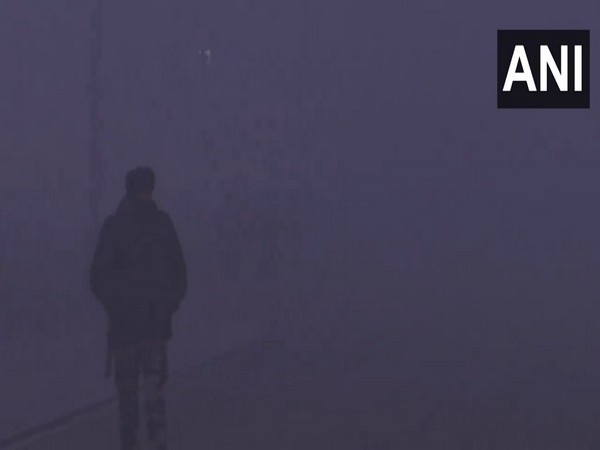 Morning visuals from Delhi. (Photo/ANI)