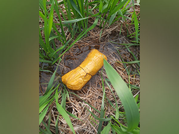 BSF thwarts smuggling attempt in Punjab's Tarn Taran. (Photo/ANI)