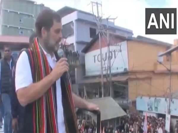 Congress MP Rahul Gandhi in Kohima (Photo/ ANI )