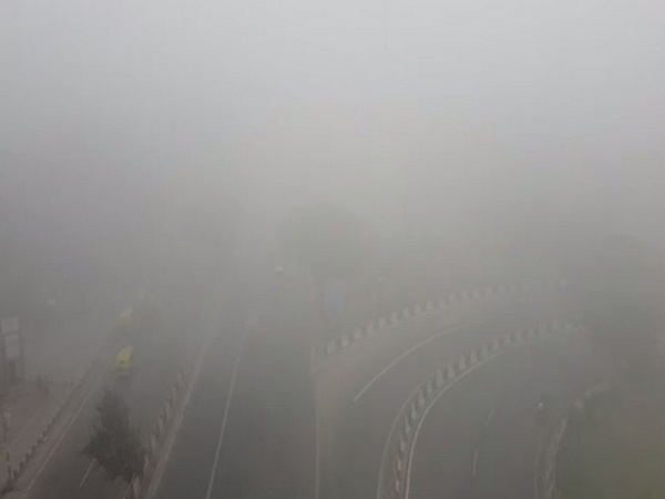 Morning visuals from Delhi (Photo/ANI)