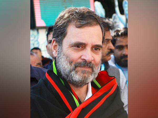 Congress leader Rahul Gandhi (Photo/ANI)