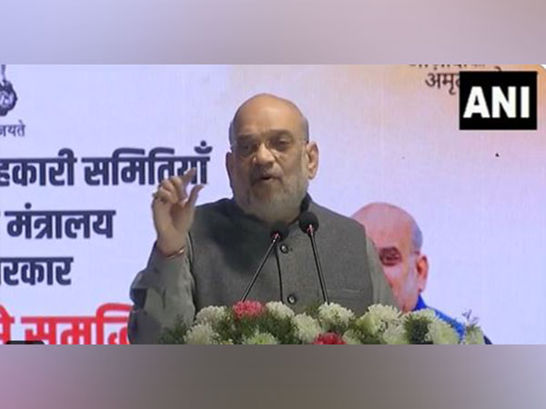 Union Home Minister Amit Shah (Photo/ANI)