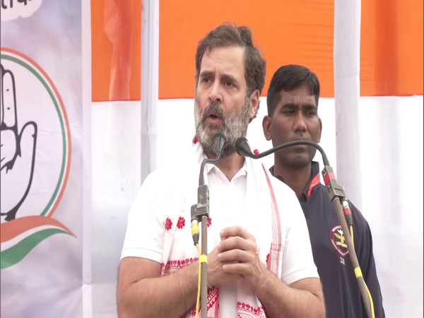 Congress leader Rahul Gandhi. (Photo/ANI)