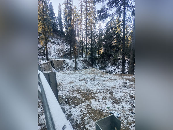 Visuals of light snowfall from Kharapathar area of Shimla district (Photo/ANI)