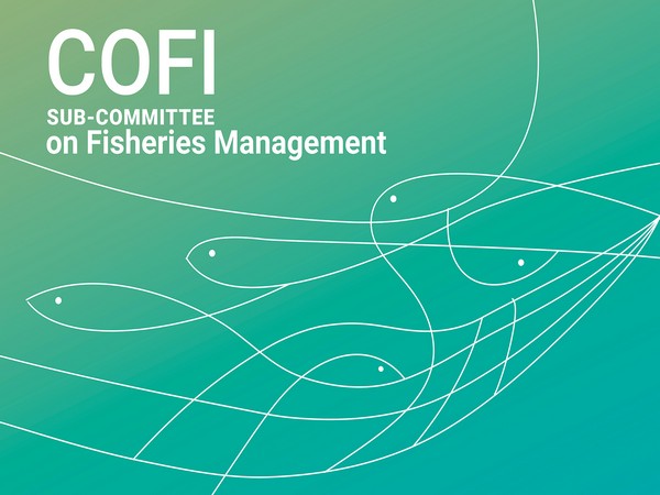 India assumes key role as 1st Vice Chair of FAO COFI Fisheries Sub-Committee, empowering Global South perspectives (Photo/FAO)