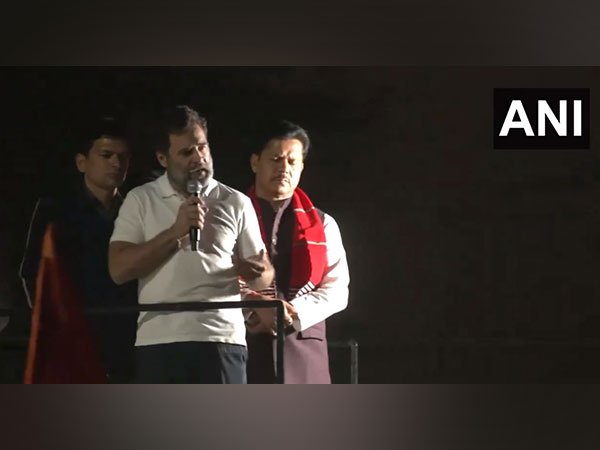 Rahul Gandhi (Photo/ANI)