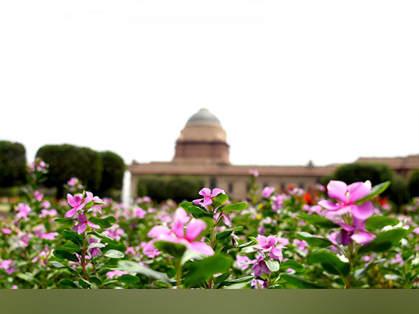 A view of the blooming flowers at Amrit Udyan(File Photo/ANI)