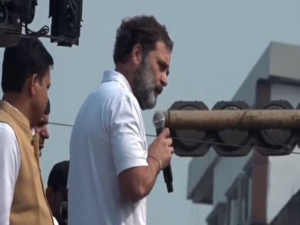Congress MP Rahul Gandhi (Photo credit/ Congress)